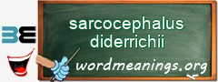 WordMeaning blackboard for sarcocephalus diderrichii